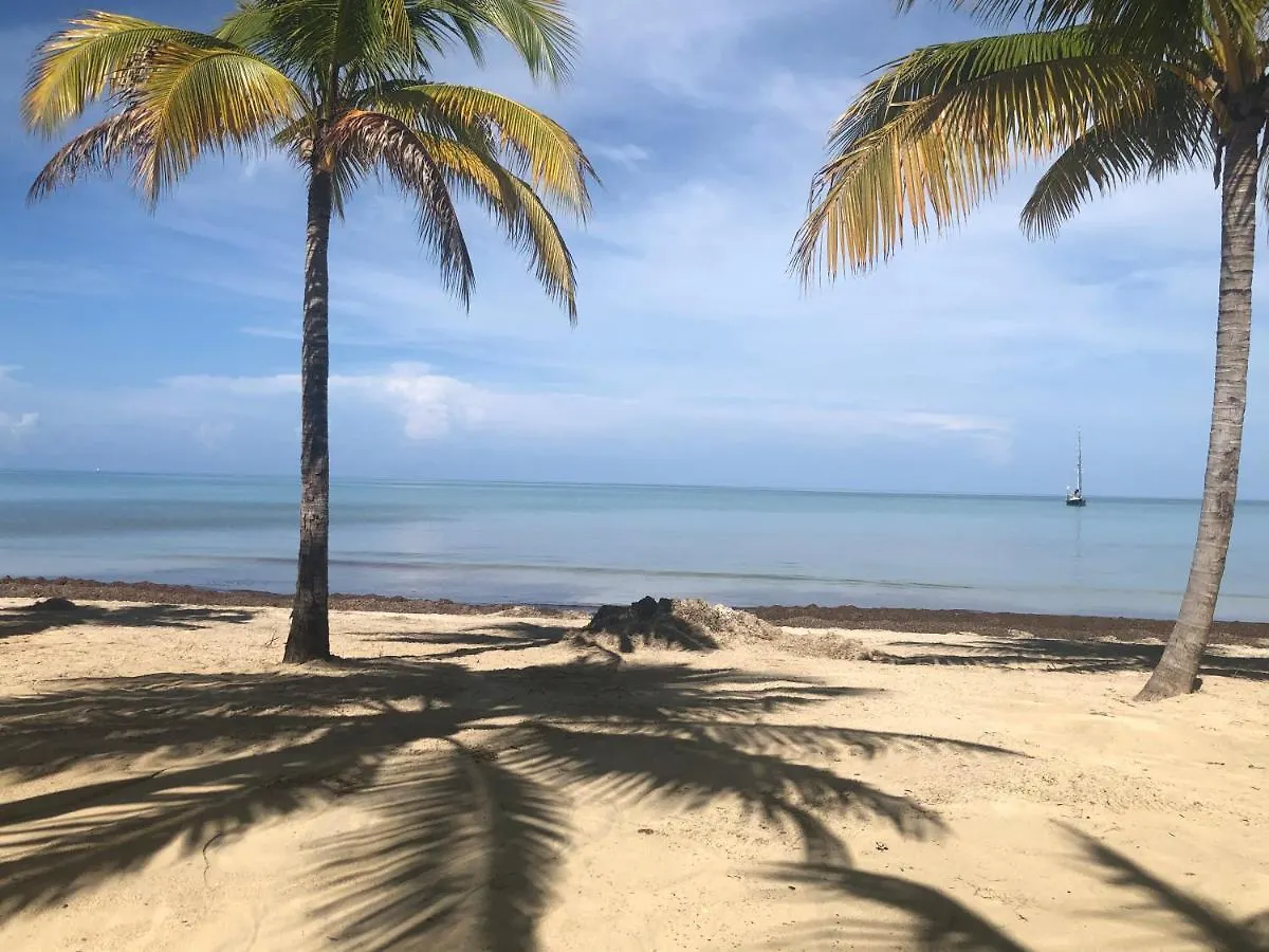 Marriott White Sands, Beachfront Condo At Negril Beach Club Apartamento
